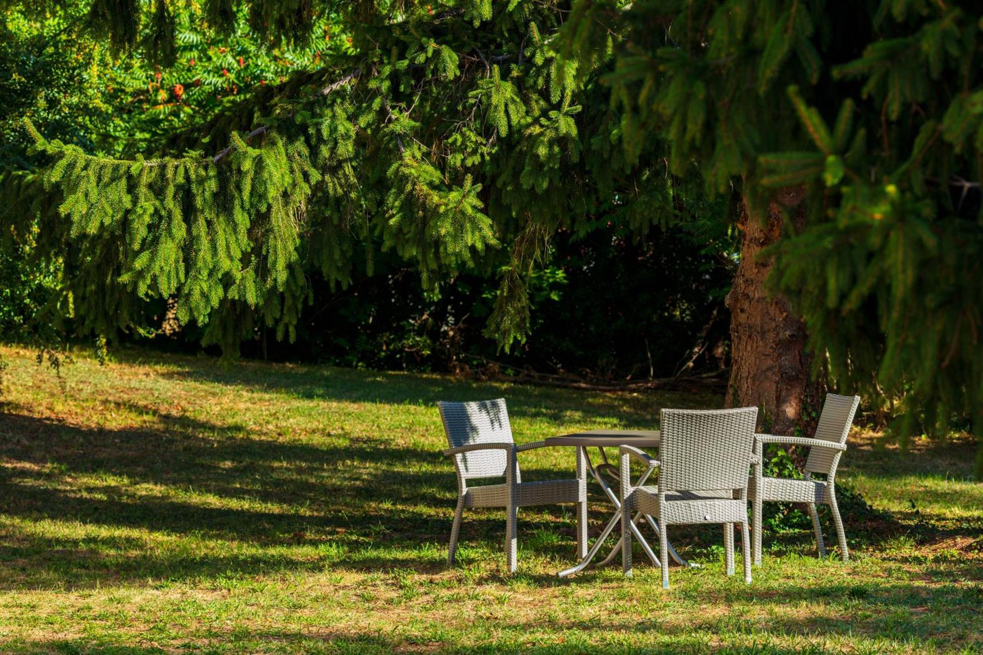 Logis Hotel Noemys Morgon Villie Morgon Bagian luar foto